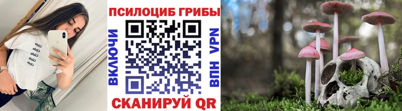 Галлюциногенные грибы прущие грибы Каргат